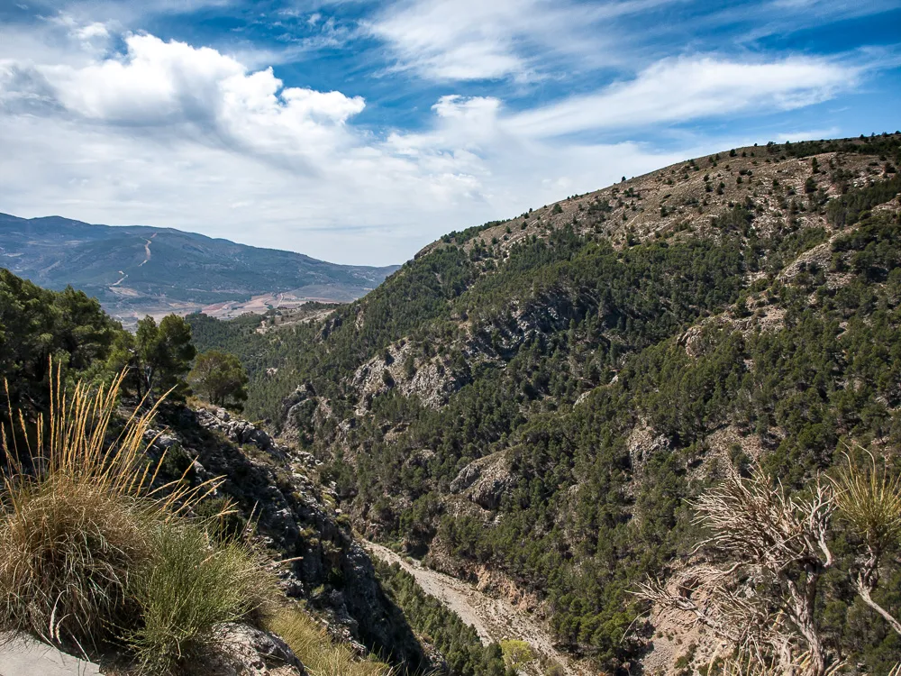 El valle del Andarax con su vegetación de ribera