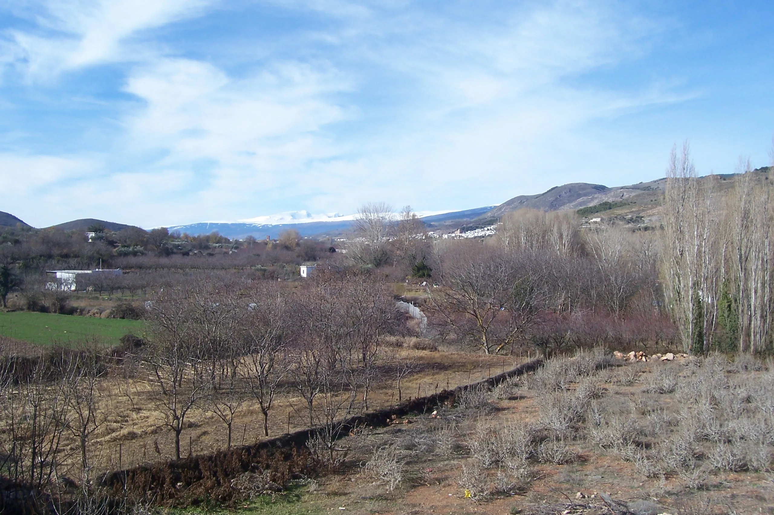 Vista de Sierra Nevada y la vega del Andarax desde Fondón
